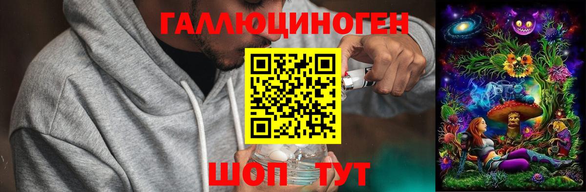 Псилоцибиновые грибы Psilocybe  Вход с VPN  Сланцы  Псилоцибиновые грибы GOLDEN TEACHER 