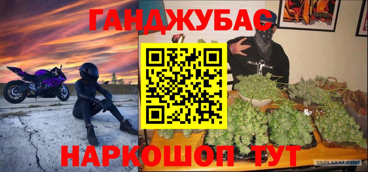 Бошки Шишки планчик Сланцы
